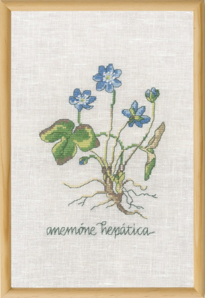 Stickset Blaue Anemone R5799 20 x 30 cm