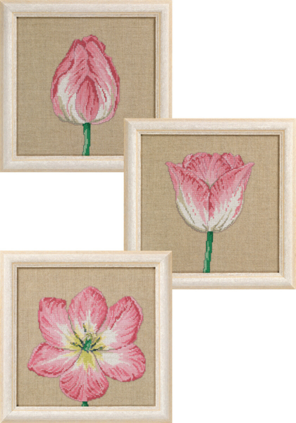 Stickset Tulpen in Phasen 3 x 25 x 25 cm