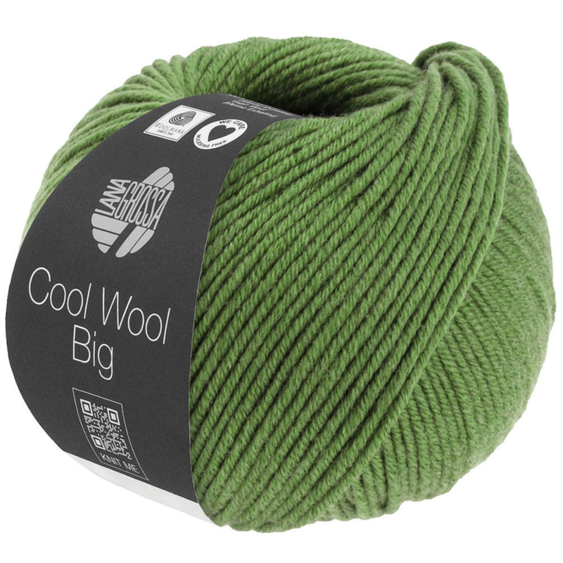 Cool Wool Big 1634 Grün meliert