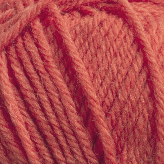 Svarta Fåret Ulrika 539 Kirschtomate