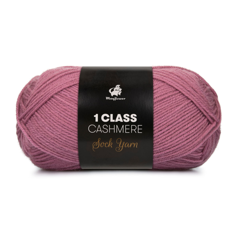 Mayflower 1 Class Cashmere 14 Staubige Rose