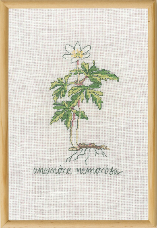 Stickset Weiße Anemone R5799 20 x 30 cm