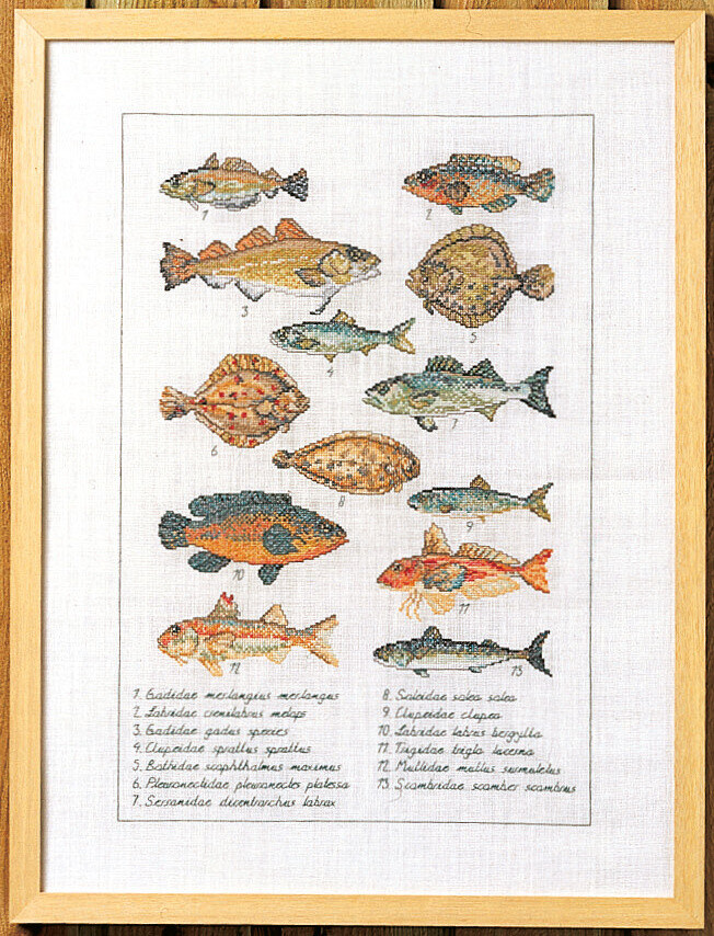 Stickset Fisch 41 x 56 cm 5676