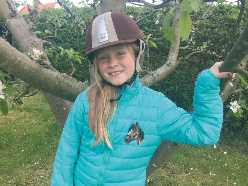 Stickpackung Pferdekopf 7 x 9 cm