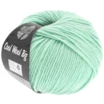Cool Wool Big 978 Pastellgrün
