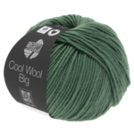 Cool Wool Big 967 Resedagrün